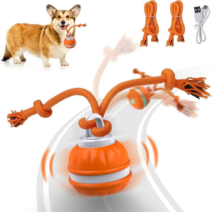 Motion Activated Rolling Ball Dog Toy USB Rechargeable