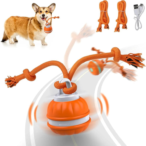Motion Activated Rolling Ball Dog Toy USB Rechargeable