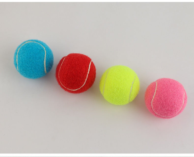 Pet Bite-Resistant Tennis Toy