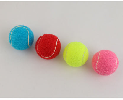 Pet Bite-Resistant Tennis Toy