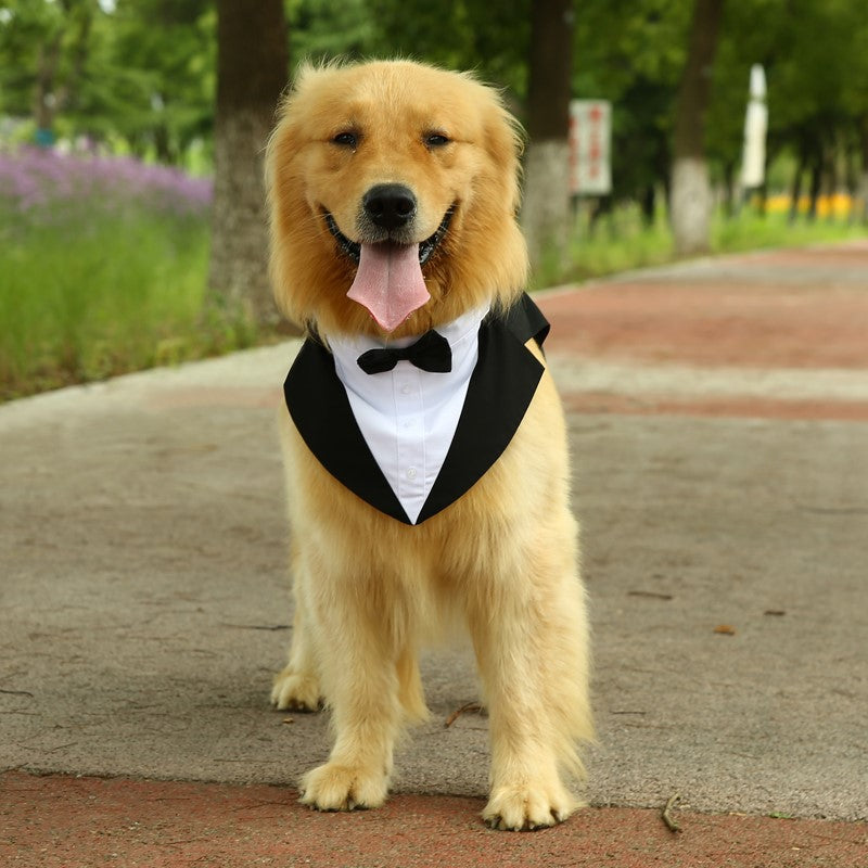 Bow Tie Thin Dog Suit for Pets