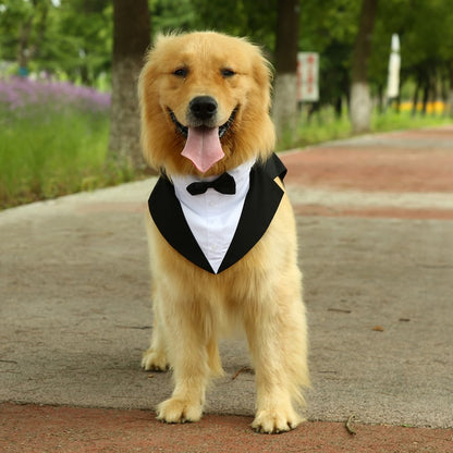 Bow Tie Thin Dog Suit for Pets