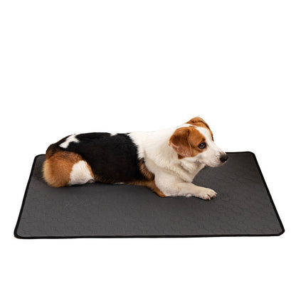 Water Absorbent Dog Pad for Pets