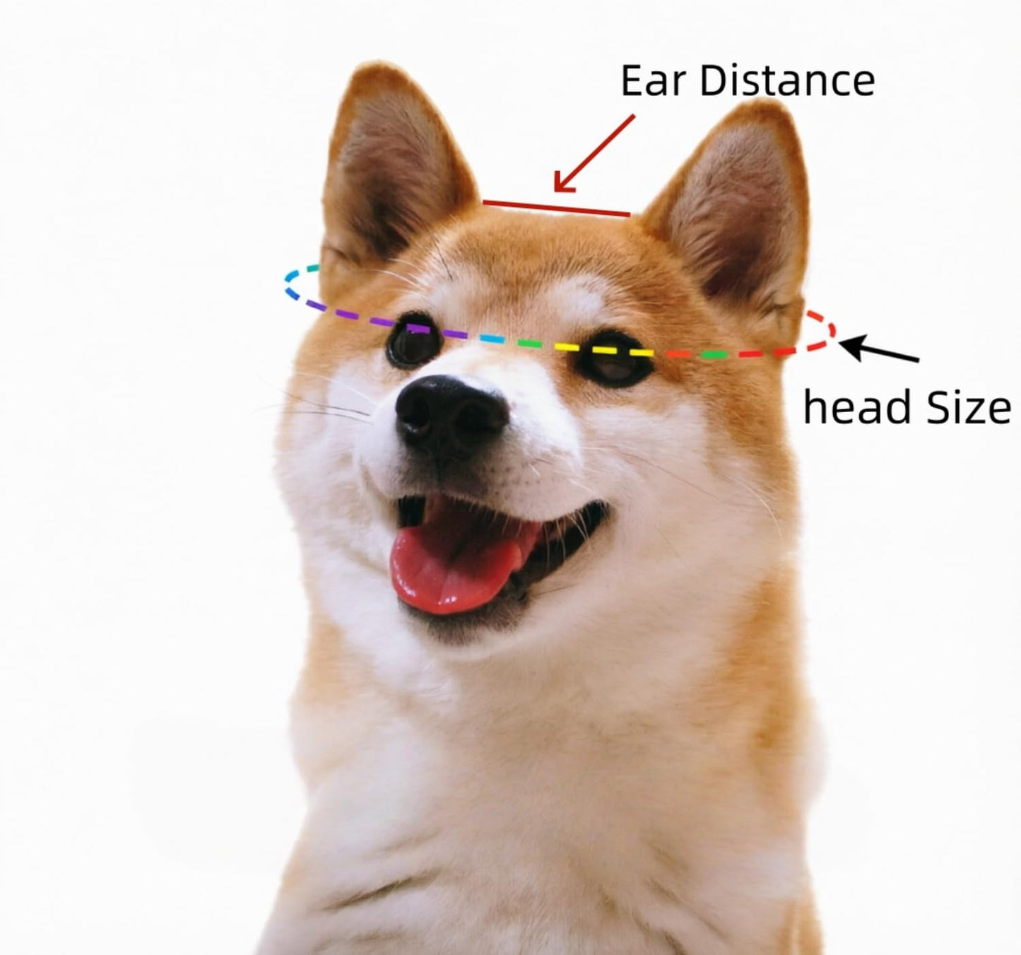 Dog Bucket Hat with Ear Holes Adjustable for Pets