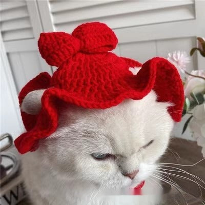Pet Knitted Hat for Cats & Dogs