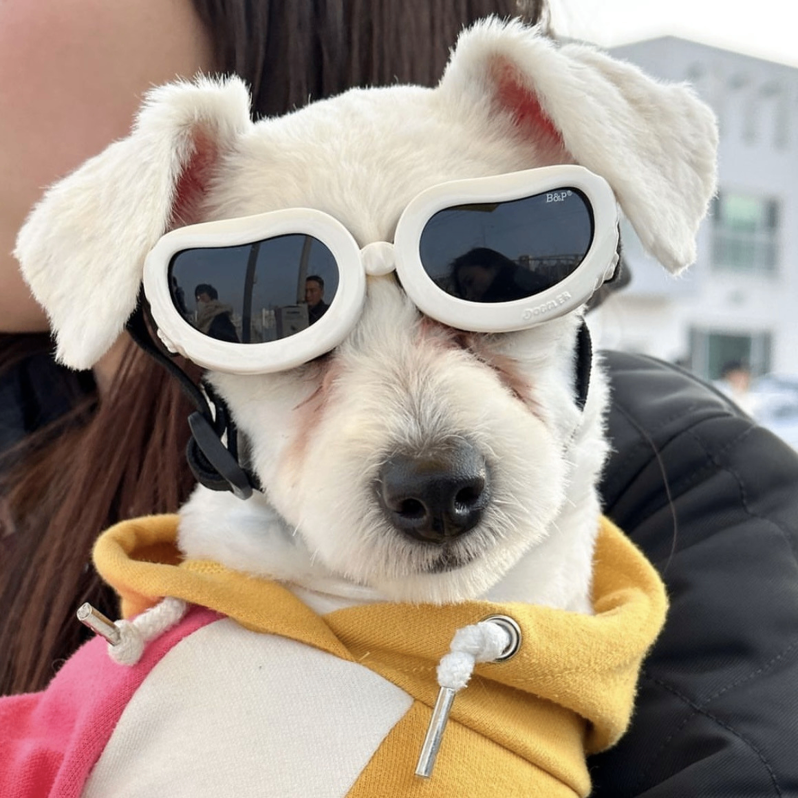 Round Frame Pet Sunglasses in New Fashion Design