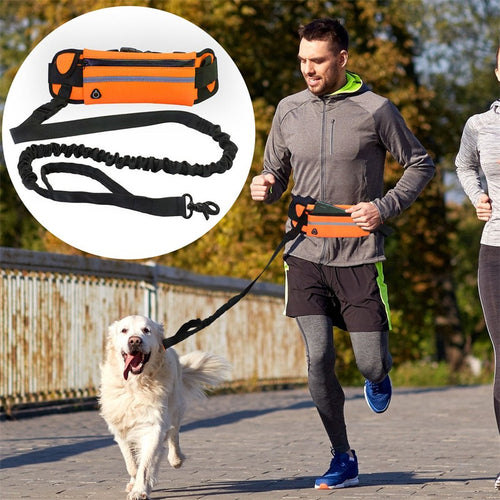 Pet Purse Leash for Dog Walking