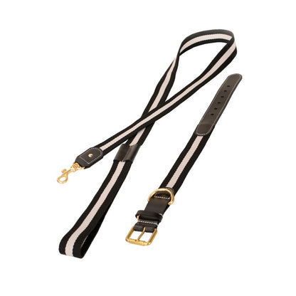 Woven Dog Collar Traction Rope